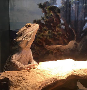 Meet your Posher, Jorge